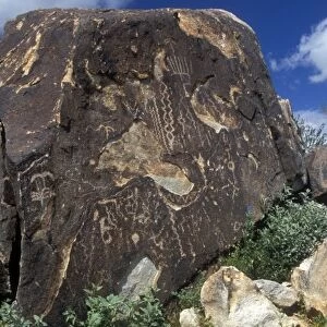 Petroglyphs that the Hohokam carved into stone at the White Tank Mountain Regional