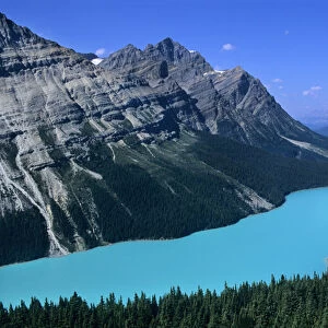 Peyto Lake viewed from near Bow Pass along the Icefields Parkway in the Canadian