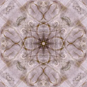 Pink and brown kaleidoscope abstract Pink and brown kaleidoscope abstract
