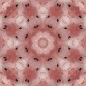 Pink and grey kaleidoscope abstract Pink and grey kaleidoscope abstract