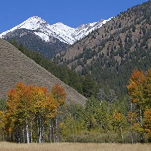 The Pioneer Mountains near Sun Valley, Idaho, USA