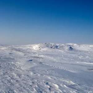 Images Dated 2006 March: 29 Mar 2006