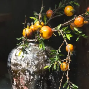 Pomegranate grown from a wine jar, Tangqi Ancient Town, Hangzhou, Zhejiang Province