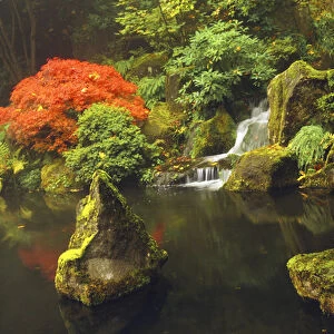 Portland Japanese Garden in Autumn, Portland, Oregon, USA