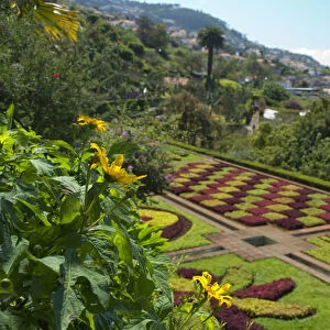 Portugal, Madeira Island, Funchal. Botanical Gardens (aka Jardim Botanico), founded in 1960