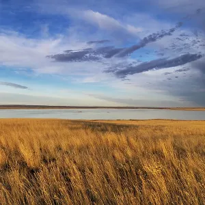 Prairie grasslands and Lake Bowdoin at Bowdoin National Wildlife Refuge near Malta, Montana, USA. (Editorial Use Only) Prairie grasslands and Lake Bowdoin at Bowdoin National Wildlife Refuge near Malta, Montana, USA. (Editorial Use Only)