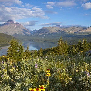 Prairie wildflowers and Lower Two Medicine Lake in Glacier National Park and Blackfeet
