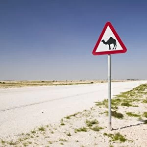 Qatar, Al Zubarah. Camel Crossing Sign-Road to Al-Zubarah NW Qatar