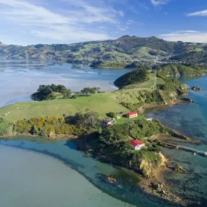 Quarantine Island Print, Otago Harbour, Dunedin Quarantine Island Print, Otago Harbour, Dunedin