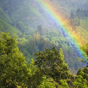 Rainbow in Andrew Molera State Park, California, USA