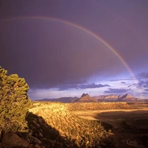 Rainbow from Gooseberry Mesa looking to Smithsonian Butte near Virgin Utah