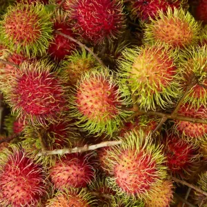 Rambutan Fruit Print, Can Duoc Market Rambutan Fruit Print, Can Duoc Market