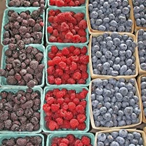 Raspberries blueberries at farmers market in South Haven Michigan
