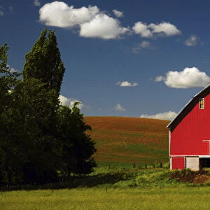 Red Barn in the Palouse Area, Whitman County, Washington, USA