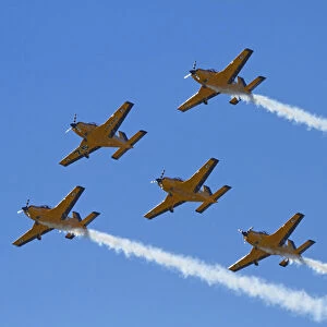 The Red Checkers Aerobatic Display Team with CT-4B Airtrainers