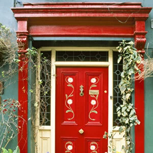 Red door with painted daisies, surrounded by flowers and vines