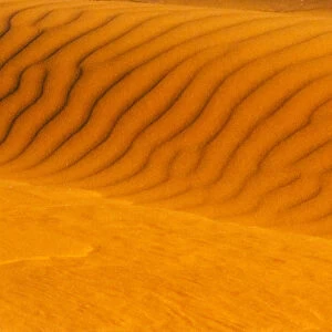 Red sand dune in southern Namib Desert, Sesriem, Hardap Region, Namibia