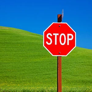 Red Stop Sign Green Wheat Grass Fields Blue Skies Abstract Palouse Washington State