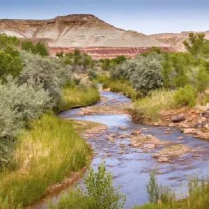 Red White Sandstone Mountain Fremont River Capitol Reef National Park Torrey Utah