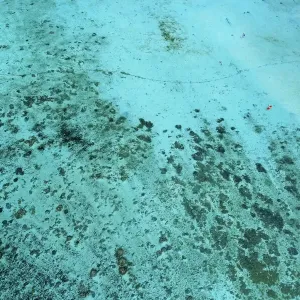 Muri Lagoon Print, Rarotonga Reef Scene
