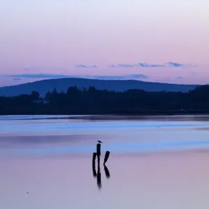 Reflections in New River Estuary at dusk, Invercargill, Southland, South Island Reflections in New River Estuary at dusk, Invercargill, Southland, South Island