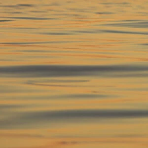 Reflections and ripples on ocean water, Hulopo e Bay, Lanai, Hawaii