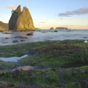 Rialto Beach Olympic National Park in Clallam County, Washington State
