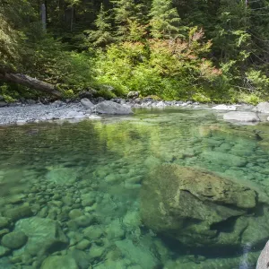 River in Hoh Olympic National Park, Washington State