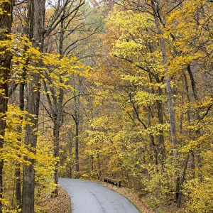 Road in fall Color Giant City State Park IL