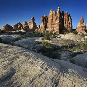 Rock formations in The Needles district, Canyonlands National Park, Utah, USA