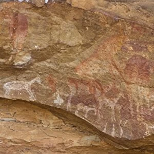Rock painting by San bushmen in Drakensberg Royal Natal NP, South Africa
