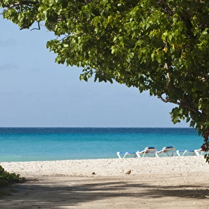Rockley Beach Barbados, Caribbean