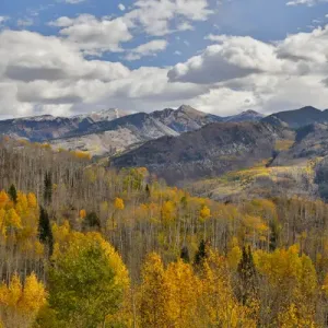 Rocky Mountains Colorado Fall Colors of Aspens and Oaks Keebler Pass, with mountain Rocky Mountains Colorado Fall Colors of Aspens and Oaks Keebler Pass, with mountain