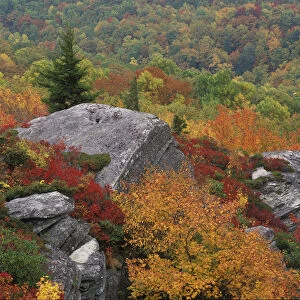 Rocky outcropping and autumn colors, Blue Ridge Parkway, North Carolina