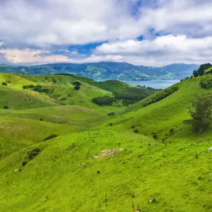 Rolling farmland on the Otago Peninsula, Dunedin, Otago, South Island, New Zealand Rolling farmland on the Otago Peninsula, Dunedin, Otago, South Island, New Zealand