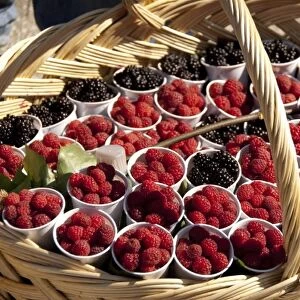 Romania, Wallachia, Sinaia. Fresh berries in basket