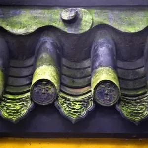 Roof Tiles Faces Green Moss Baoguang Si Shining Treasure Buddhist Temple Chengdu Roof Tiles Faces Green Moss Baoguang Si Shining Treasure Buddhist Temple Chengdu