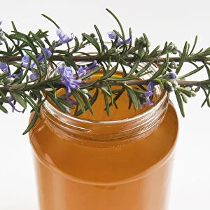 Rosemary (rosmarinus officinalis) honey in jar