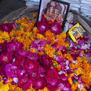 Roses and marigolds, the flowers of Pushkar, Rajasthan, India