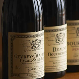 A row of bottles and labels of burgundy wine from maison Louis Jadot Gevrey Chamberting
