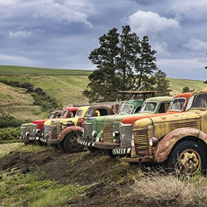 Row of colorful old trucks, Palouse region of eastern Washington