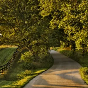 Rural road and fence at sunrise, Oldham County, Kentucky