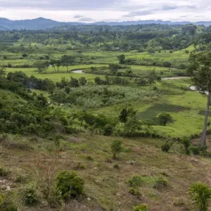 Rural scene near Bwindi Impenetrable Forest. Uganda