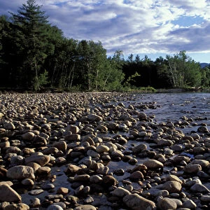 Saco River. The Cohos Trail begins along the banks of the Saco River. White Mountain N