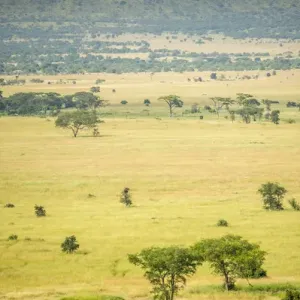 Safari tour Safari tour