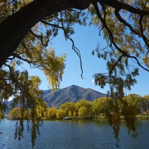 Sailors Cutting Print, Lake Benmore Autumn Scene Sailors Cutting Print, Lake Benmore Autumn Scene