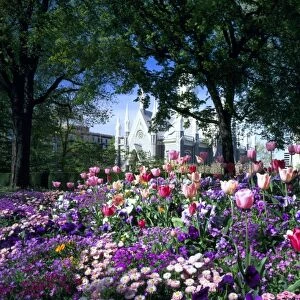 SALT LAKE CITY, UTAH. USA. Flowers in Temple Square. Assembly Hall in distance. Wasatch Front
