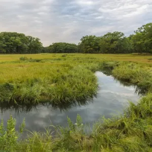 The salt marsh along the Castle Neck River in Ipswich, Massachusetts