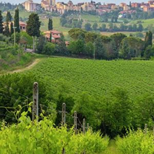 San Gimignano. Tuscany. Italy