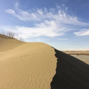 Sand dune ridge. Bruneau Dunes State Park, ID
